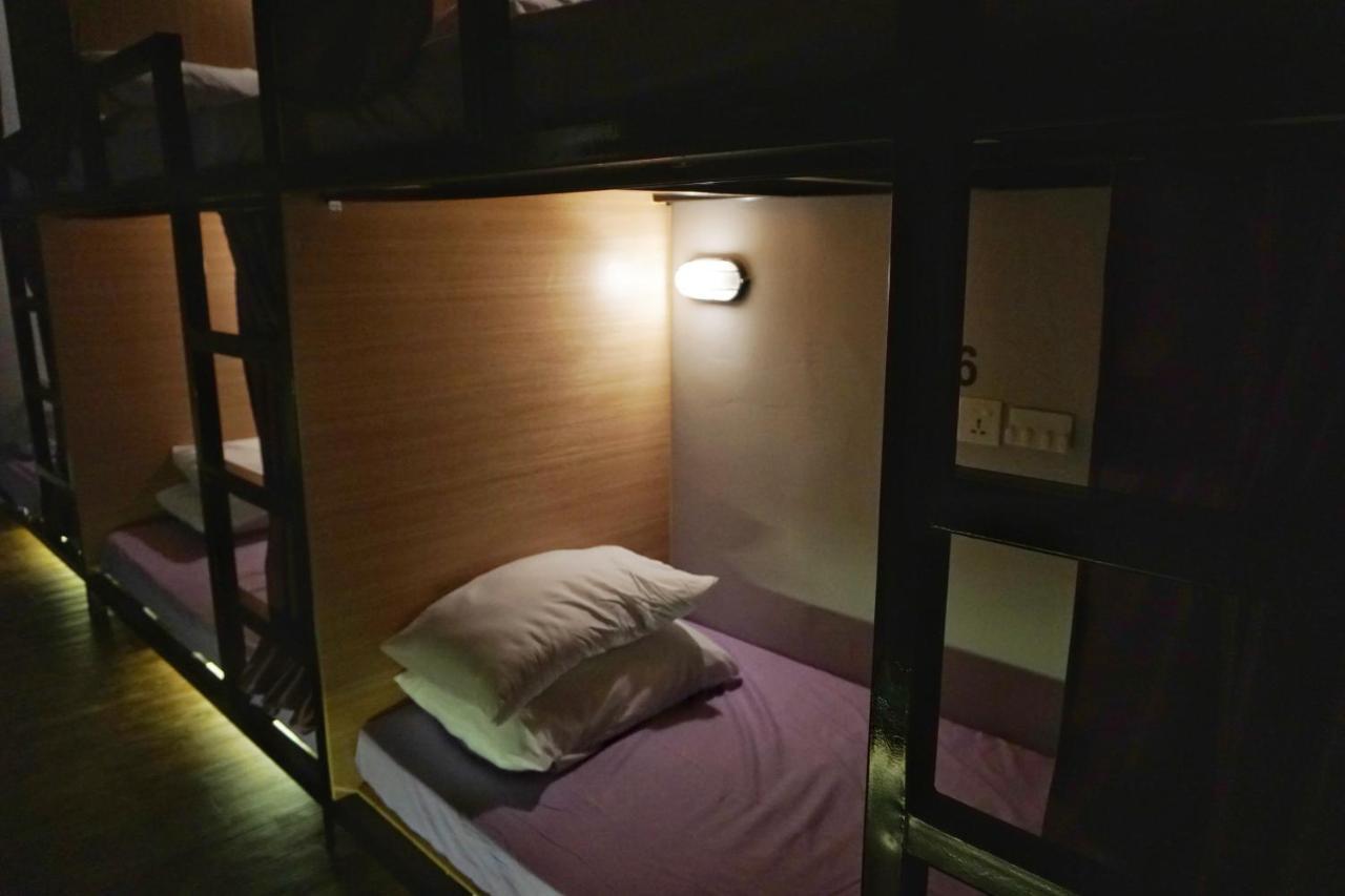 Wanderer In Hostel *