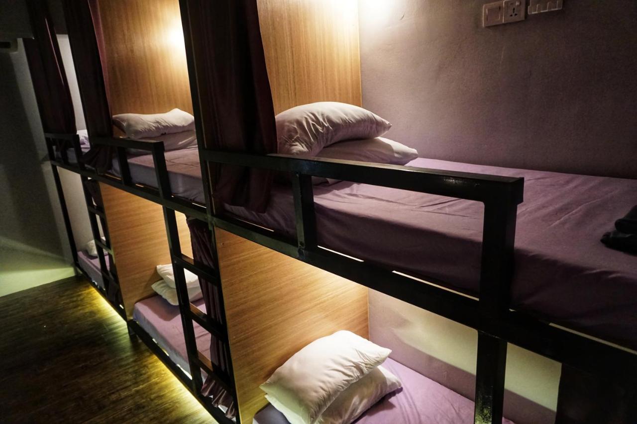 Wanderer In Hostel *